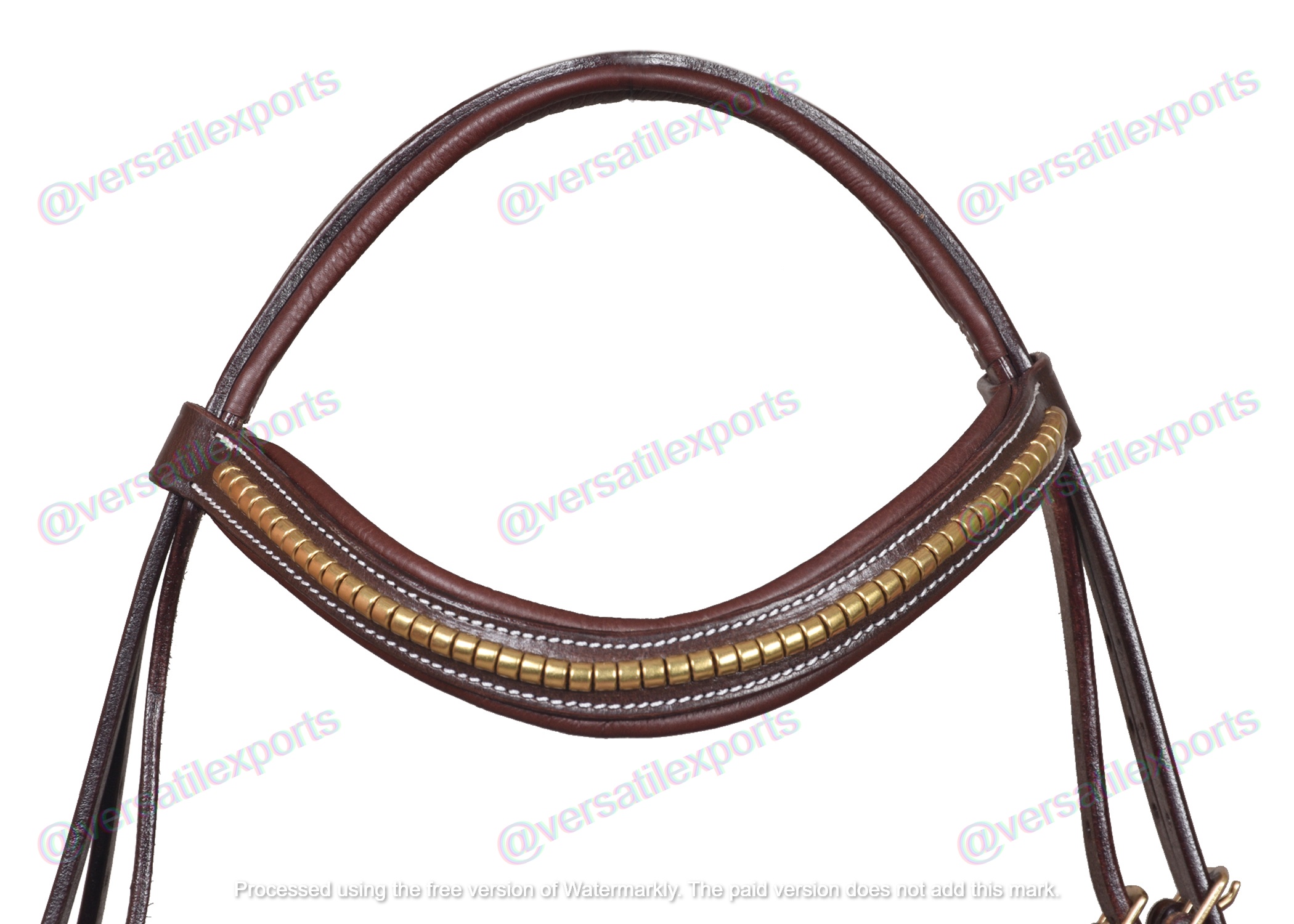 Bridle with Clinches